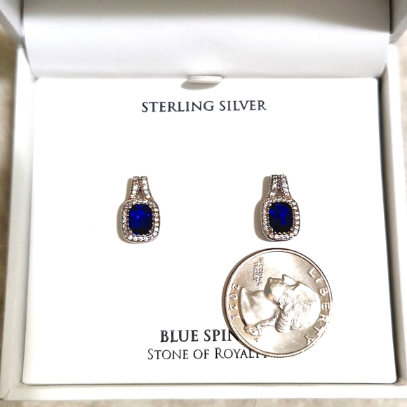 Blue Spinal Sterling Silver Earrings - Picture 6 of 7